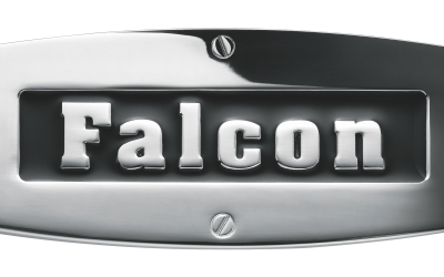 Master Falcon Badge